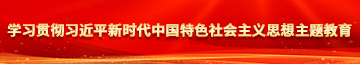 男生的鸡鸡捅入女生的鸡鸡软件学习贯彻习近平新时代中国特色社会主义思想主题教育