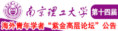 少萝内衣自慰南京理工大学第十四届海外青年学者紫金论坛诚邀海内外英才！